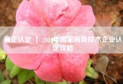 高企认定 ｜ 2024年国家高新技术企业认定攻略