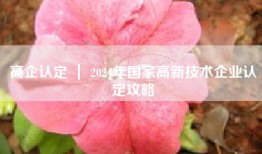 高企认定 ｜ 2024年国家高新技术企业认定攻略