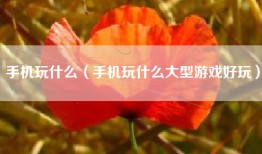 手机玩什么（手机玩什么大型游戏好玩）