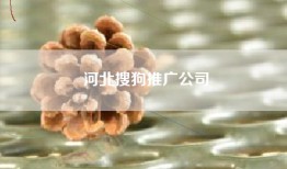 河北搜狗推广公司