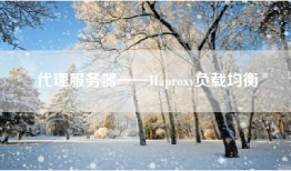 代理服务器——Haproxy负载均衡