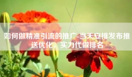 如何做精准引流的推广-当天安排发布推送优化，实力代做排名