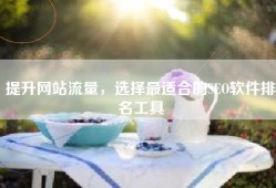 提升网站流量，选择最适合的SEO软件排名工具