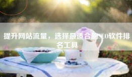 提升网站流量，选择最适合的SEO软件排名工具