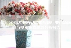 2024-2029年中国移动智能终端行业市场前瞻与投资策略规划分析报告
