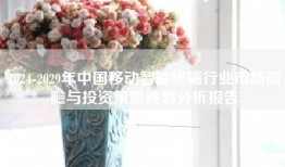 2024-2029年中国移动智能终端行业市场前瞻与投资策略规划分析报告