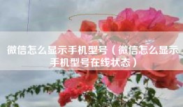 微信怎么显示手机型号（微信怎么显示手机型号在线状态）