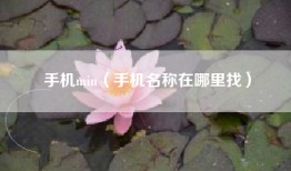 手机min（手机名称在哪里找）