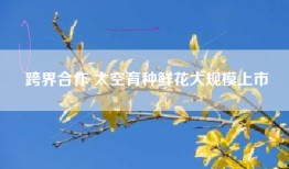 跨界合作 太空育种鲜花大规模上市