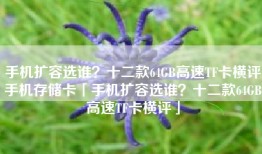 手机扩容选谁？十二款64GB高速TF卡横评手机存储卡「手机扩容选谁？十二款64GB高速TF卡横评」