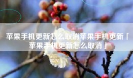 苹果手机更新怎么取消苹果手机更新「苹果手机更新怎么取消」