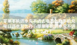 苹果手机进水充不进去电怎么办手机充电口进水怎么办「苹果手机进水充不进去电怎么办」