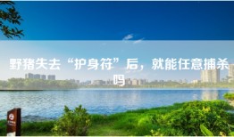 野猪失去“护身符”后，就能任意捕杀吗
