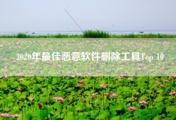 2020年最佳恶意软件删除工具Top 10