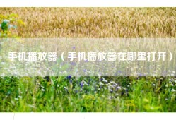 手机播放器（手机播放器在哪里打开）