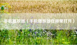 手机播放器（手机播放器在哪里打开）