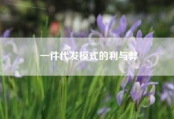 一件代发模式的利与弊