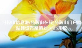 马鞍山信息港(马鞍山在线)马鞍山门户网站建设方案策划@YPS系统
