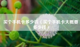 买个手机卡多少钱（买个手机卡大概要多少钱）