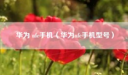 华为 nfc手机（华为nfc手机型号）