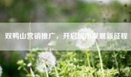 双鸭山营销推广，开启城市发展新征程