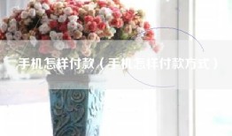 手机怎样付款（手机怎样付款方式）