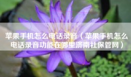 苹果手机怎么电话录音（苹果手机怎么电话录音功能在哪里济南社保管网）