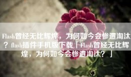 Flash曾经无比辉煌，为何如今会惨遭淘汰？flash插件手机版下载「Flash曾经无比辉煌，为何如今会惨遭淘汰？」