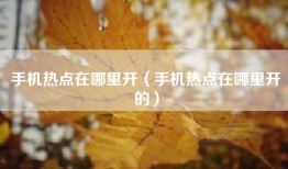 手机热点在哪里开（手机热点在哪里开的）