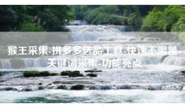 猴王采集-拼多多选品工具-快速不限量-关键词采集-功能亮点