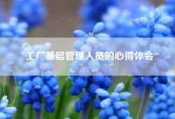 工厂基层管理人员的心得体会