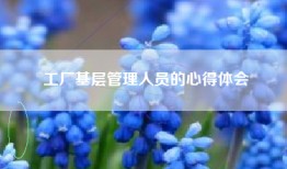 工厂基层管理人员的心得体会