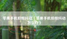 苹果手机拍照抖动（苹果手机拍照抖动怎么办）