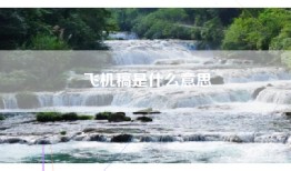 飞机稿是什么意思