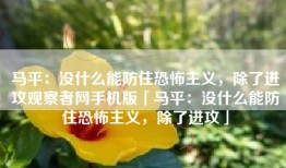 马平：没什么能防住恐怖主义，除了进攻观察者网手机版「马平：没什么能防住恐怖主义，除了进攻」