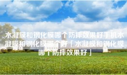 水凝膜和钢化膜哪个防摔效果好手机水凝膜和钢化膜哪个好「水凝膜和钢化膜哪个防摔效果好」