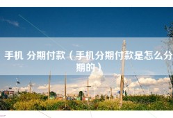 手机 分期付款（手机分期付款是怎么分期的）