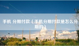 手机 分期付款（手机分期付款是怎么分期的）