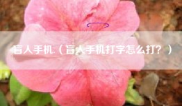 盲人手机.（盲人手机打字怎么打？）