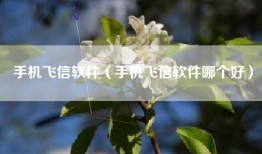 手机飞信软件（手机飞信软件哪个好）