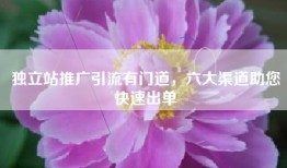独立站推广引流有门道，六大渠道助您快速出单