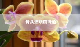 骨头燃烧的味道