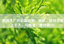 美国大厂开启裁员潮，微软、英特尔裁上千人，马斯克：推特裁75%