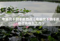 电脑找不到手机热点（电脑找不到手机热点名称怎么办）