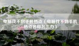 电脑找不到手机热点（电脑找不到手机热点名称怎么办）
