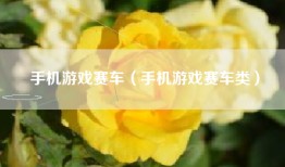 手机游戏赛车（手机游戏赛车类）