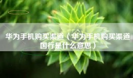 华为手机购买渠道（华为手机购买渠道国行是什么意思）