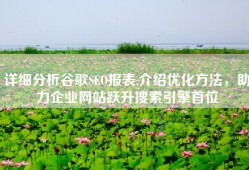 详细分析谷歌SEO报表,介绍优化方法，助力企业网站跃升搜索引擎首位