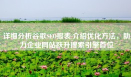 详细分析谷歌SEO报表,介绍优化方法，助力企业网站跃升搜索引擎首位