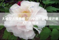 大模型去独角兽“六小龙”做基座还是大厂作领域